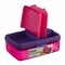 Sistema Quaddie Launch Box, 1.5 Liter - Fuchsia