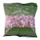 Green Forest Unpeeled Roasted And Salted Peanuts 200g