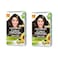Garnier Color Naturals Creme Nourishing Permanent Hair Colour 3 Darkest Brown Pack of 2