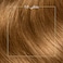 Wella koleston permanent hair colorKit 7/3 Hazelnut