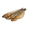 Herring Super Jumbo