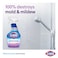 Clorox Mold &amp; Mildew Remover 750ml
