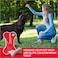 Absolute Calcium Bone Jar, Dog Supplement Treat - 40 pieces (600g)