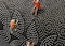3 PCS Set Of Non Slip Bathroom Rug Made With Soft Material  Which Fit Around Most Toilets With Beautiful Design.