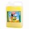 Pep Cocopine Drink 5L