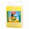 Pep Cocopine Drink 5L