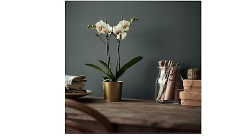 Plant pot, brass-colour, 9 cm