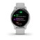 Garmin Venu 2S Silver Bezel With Mist Gray Case And Silicone Band