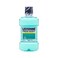 Listerine Mouthwash Fresh Burst 250ml