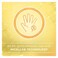 Johnsons Anti Bacterial Micellar Lemon Hand Wash 500 ml