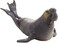 Animal Planet Mojo Sea Elephant