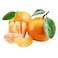 Mandarine Nadorcott