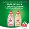 Fairy Liquid Dishwashing Gel Lemon Blossom 1L