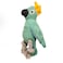 Plush Pet Bird Dog Toy - Multicolor and Design - 2pc