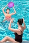 Inflatable Beach Ball Crane (Feather Ball)