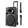 Pronex K120 Karaoke Portable Speaker 1600W Black
