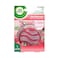 Airwick Red Berries Crystal Air 1 Piece