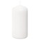 Bolsius Professional Pillar Candles, Tray of 12 Candles - 120/58mm, White