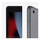 Apple iPad 9th Generation 10.2-Inch 256GB Wi-Fi Space Grey
