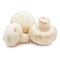 White Button Mushroom 500G