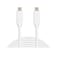 ساندبرغ USB-C  كابل شحن بطول 2 متر - أبيض
