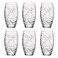 Oriente Acqua Water Tumbler X6
