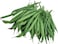 Vsell24 3  packs 10g Organic green beans Seeds