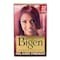Bigen Hair Color No. 37 Dark Auburn 6g