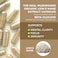 Real Mushrooms Lion's Mane Cognition Capsules (120 Pieces)
