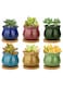 Generic 6 Pcs Colorfull Succulent Pots, Ceramic Ice Flower Planters, Colorful Pot With Bamboo Trays, Pack Of 6 (Plants Not Included)
