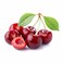 Cherry Tray