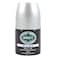 Brut Deo Roll-on Anti-Perspirant Musk 50ml