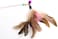 Generic Pet Cat Interactive Toy Feather Bells Cat Toys