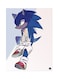 Video Game Sonic Metal Plate Poster Multicolour 15x20centimeter