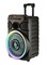 Sonashi 12-Inch Rechargeable Bluetooth Trolley Speaker SPS-8012RT
