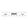 Gold Fish Ruler Scale 2 pcs