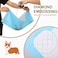 Sky-Touch Disposable Absorbent Quick Drying Leak-Proof Pee Pads For Potty Training For Pets - 40 Pieces, Blue, L - 60X60cm