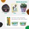 Crayola 4 Ct. 4 Oz. Multi-Surface Acrylic Earth Colors