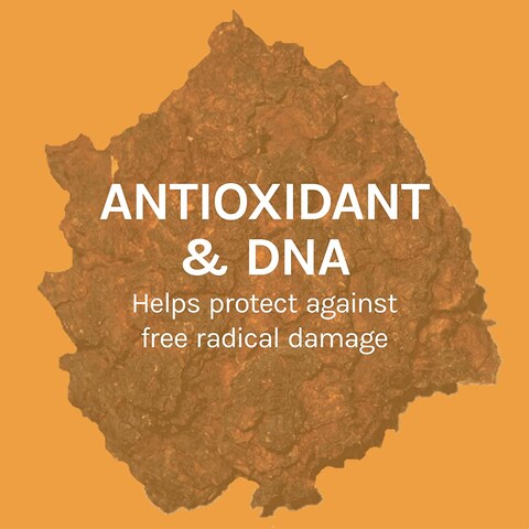 Host Defense Chaga Capsules, 60 Veg Caps