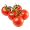 Tomatoes On The Vine 1Kg
