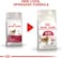 Royal Canin Fhn Feline Health Nutrition Fit 32 4Kg Adult Cat Dry Food