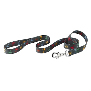 Ferplast Clup Circus Dog Lead Collar Balt 20mmx120cm