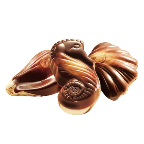 GUYLIAN SEA SHELL CON STORE TRAY65G