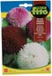 Fito Bellis Pomponnette Mix-574