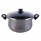 Vitrinor Cooking Pot - 22 Cm