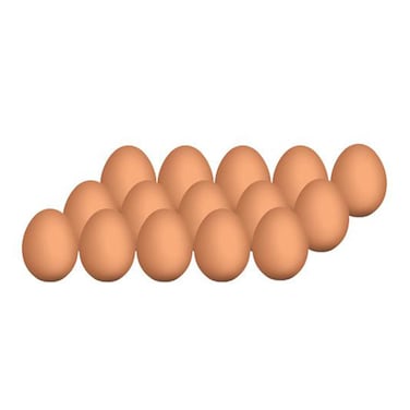 Winnies Organicanic Free Range Eggs X15 Pieces
