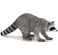 Toy School - Raccoon Figurine