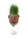 Generic Magic Growing Grass Head DIY Craft
