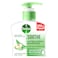 Dettol Soothe Anti-Bacterial Aloe Vera And Apple Hand Wash 250ml