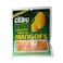 Cebu Philippines Dried Mangoes 100g